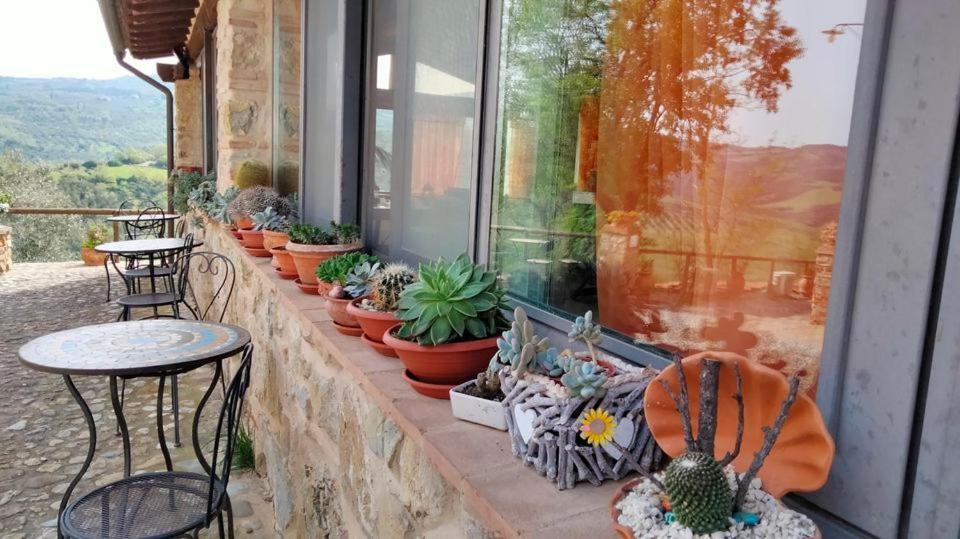 Agriturismo Grossola Кастільйоне-д'Орчія Екстер'єр фото